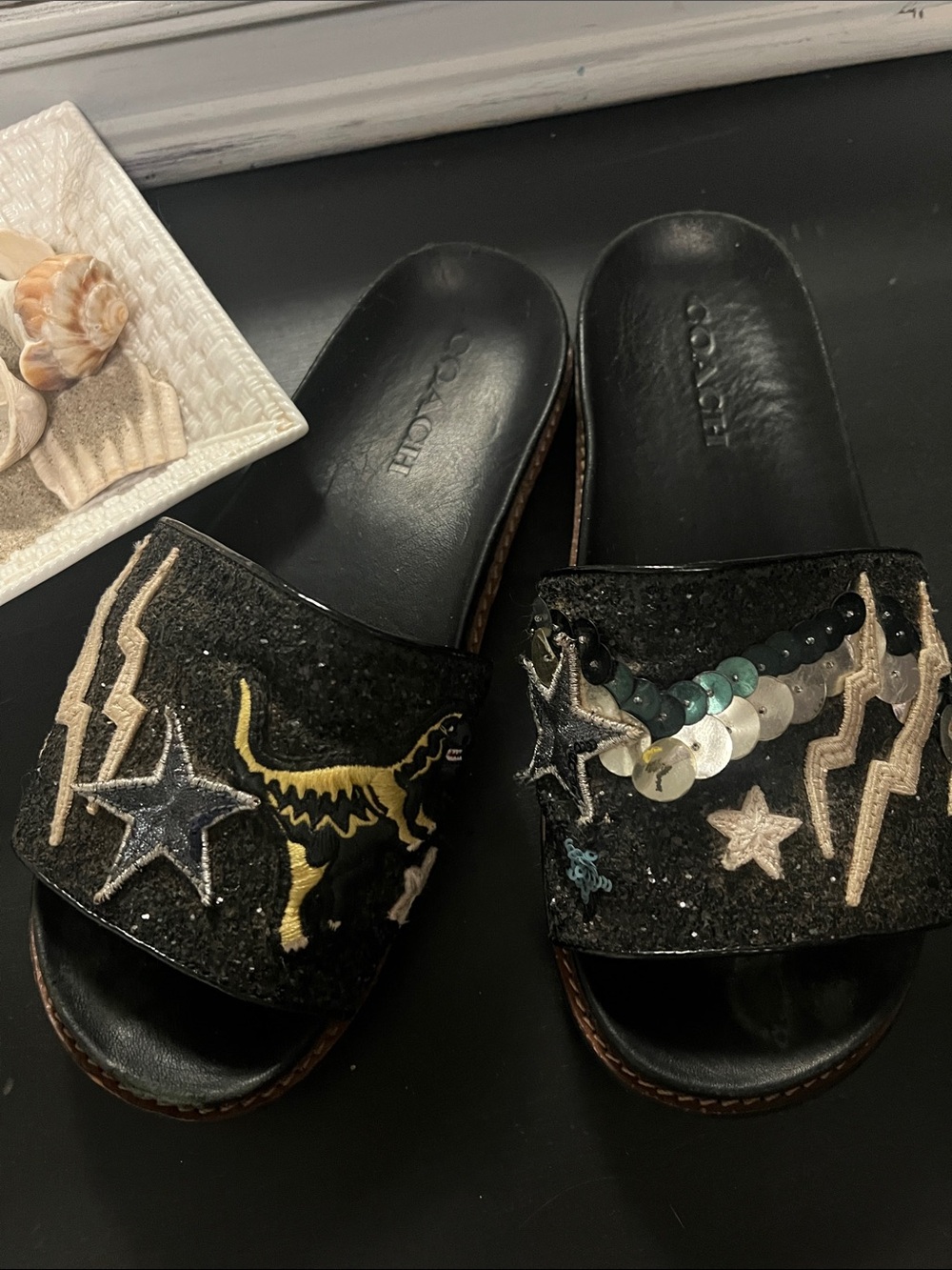 Coach Black Rex Sequined Slide Sandals with Embroidered Stars & Dino